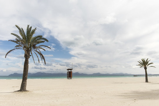 Palm trees and a lifeguard station on a beautiful beach