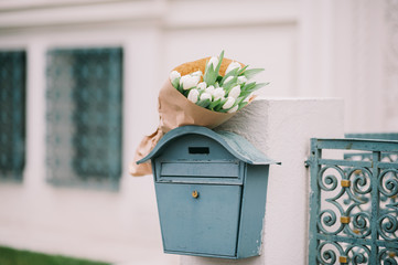 Flowers bouquets; Bouquet of white tulips in the mailbox