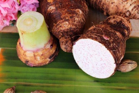 Fresh taro root