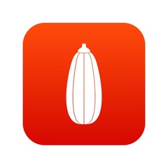 Zucchini vegetable icon digital red