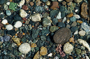 small multicolored stones on the bank of a mountain stream with crystal clear glacial water. Top view.