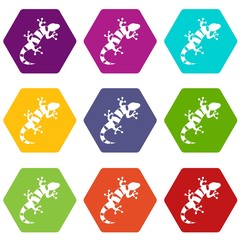 Lizard icon set color hexahedron