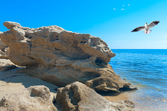 Beautiful beach at Chalkidiki peninsula, Greece