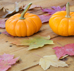 Pumpkins and Autumn Leaves on a Old Wooden Surface