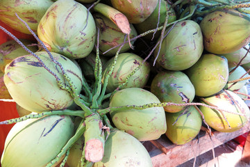 Fresh coconut bunches