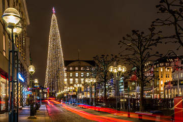 Hamburgs Christmas tree at Town hall