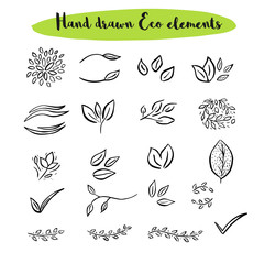 Vector floral with leaves, branches, plant elements