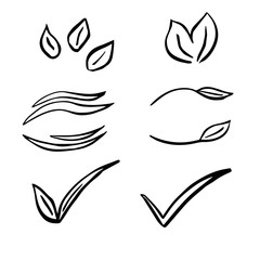 Vector floral with leaves, branches, plant elements