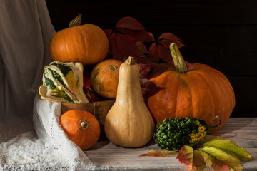 Harvest of pumpkins of different varieties on the table.