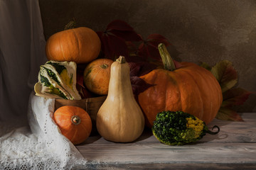 Harvest of pumpkins of different varieties on the table.