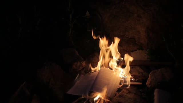 book burns down in a fire