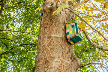 Beautiful colored birdhouse on a tree.Autumn