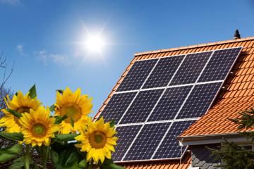 rooftop with solar panels and sunflowers in the garden