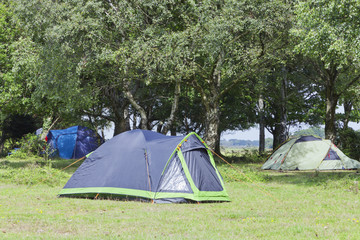 Blue and green camping tents under the trees in the woodland, on a sunny summer day .