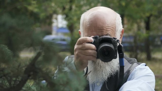 Senior man takes a photo of spruce