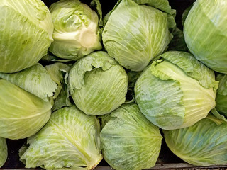 Fototapeta na wymiar whole green cabbage stack at the farmers market