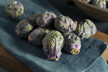 Fototapeta na wymiar Raw Green and Purple Brussel Sprouts