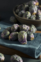 Raw Green and Purple Brussel Sprouts