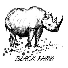 Hand drawn sketch style rhino. Vector illustration isolated on white background.