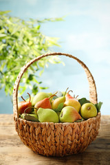 Wicker basket with ripe pears on wooden table outdoors