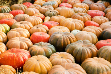 Many different pumpkins - harvest festival