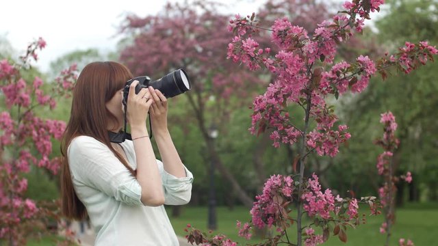 Young woman with camera take photos in park or garden. An attractive red-haired woman smiles making photo in a cherry orchard. The concept of using gadgets and active lifestyle.