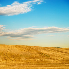 Fototapeta premium Agricultural landscape with gently sloping hill. Field under the stubble after harvesting grain