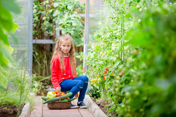 Adorable little girl harvesting cucumbers and tomatoes in greenhouse. Portrait of kid with red tomato in hands.