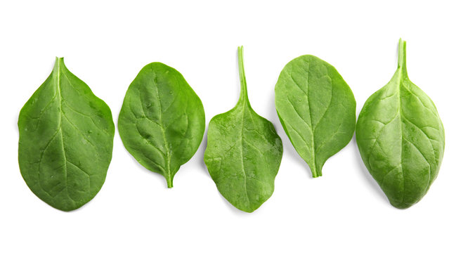Fresh spinach leaves on white background