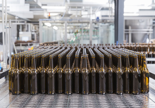 Rows of empty beer bottles on factory assembly line