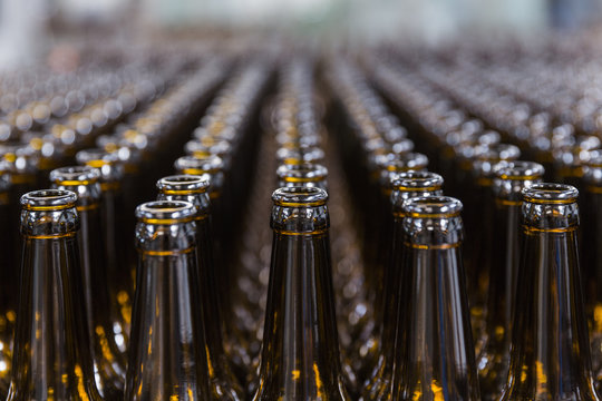Rows of empty beer bottles in a brewery