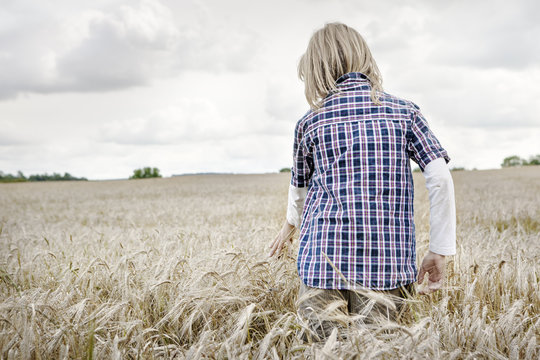 Walking through a cornfield