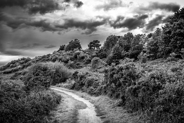 Countryside track near Rye East Sussex, England