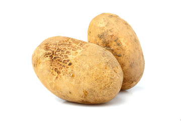 Two raw potatoes isolated closeup.