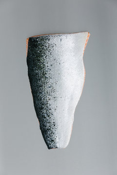 Salmon fillet on steel, skin showing, grey
