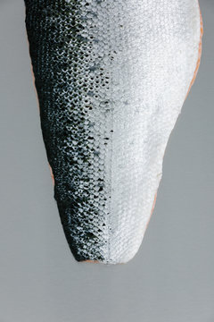 Detail of salmon fillet skin on grey