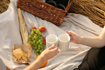 Young women drinking cool beverage at picnic outdoors