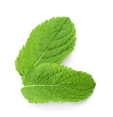 Fresh mint isolated on white