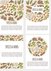 Vector set of flier templates with colorful hand drawn illustrations of different spices and herbs with inscription and place for text. Collection of four vertical card designs.