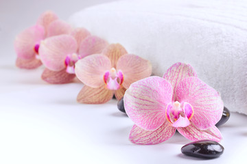 Fototapeta na wymiar Orchids and spa stones on white towel