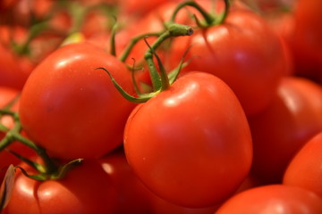 tomato
