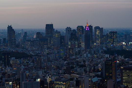 東京の夜景風景