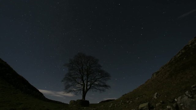 Timelapse of Stars at Sycamore Gap on Hadrian's Wall