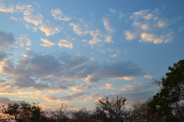 Fototapeta premium The African sky. Mozambique