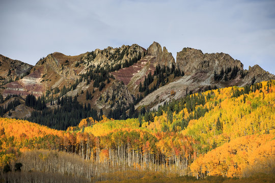 Kebler Pass - Autumn Scenery in the Rocky Mountains of Colorado.