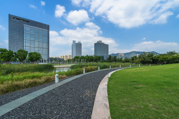 Fototapeta na wymiar beautiful green meadow near modern office building.