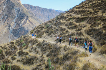 Visiting Colca Canyon in Peru