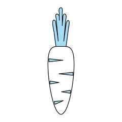 carrot fruit icon image vector illustration design