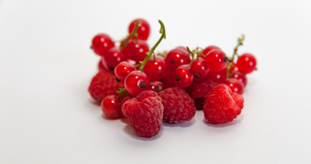 Raspberry and current on white.