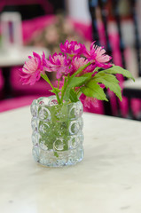 Pink flowers in a vase